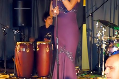 ceca-koncert-bern-markthalle-burgdorf-svajcarska-2010-19