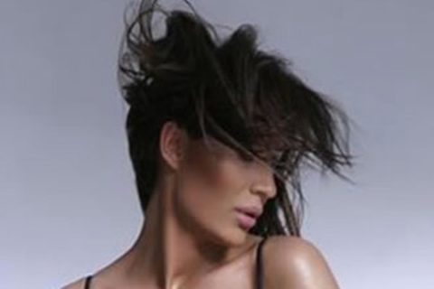 ceca-svetlana-raznatovic-slika