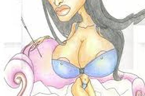 Ceca karikatura