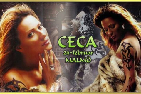 a-ceca-koncert-u-malmeu-svedska-24-februar-2007