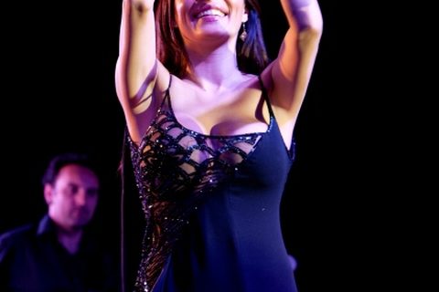ceca-melburn-australija-koncert-turneja-dec-2010-007