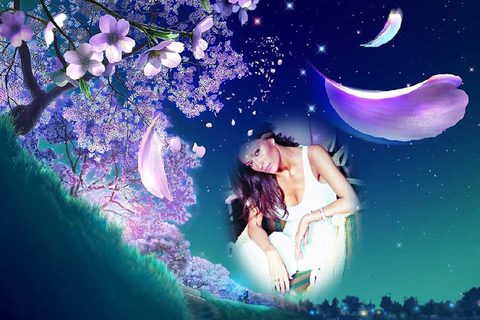 ceca-cvece-poster-wallpaper-za-desktop-1024x768