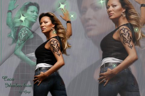 ceca-idealno-losa-pozadina-poster-wallpaper-za-desktop-1024x768