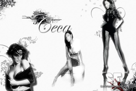 ceca-svetlana-velickovic-pozadina-poster-wallpaper-za-desktop-1024x768