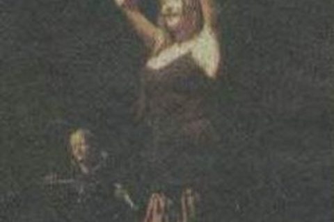 ceca-koncert-zitoradja-006